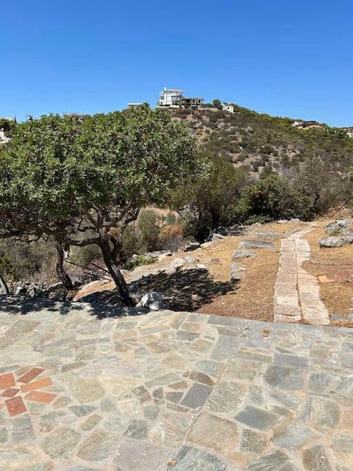 Nireos Sea View Appartement